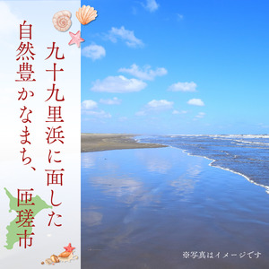 匝瑳市産水稲もち米使用 玄米餅 約1.9kg / 玄米餅 餅 切り餅 送料無料 匝瑳市 千葉