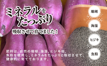 【先行予約】香取市産 さつまいも 紅はるか 約5kg 1本2～300g 焼き芋やスイートポテトにどうぞ KTRW001 / 芋 サツマイモ さつま芋 べにはるか ベニハルカ 焼き芋 焼芋 焼いも お芋 おいも いも 生芋