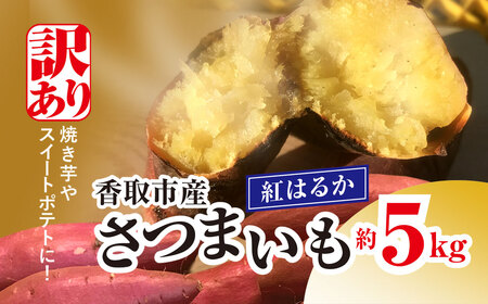 【先行予約】【訳あり】香取市産 さつまいも 紅はるか 約5kg×1 焼き芋やスイートポテトにどうぞ KTRW004 / 芋 サツマイモ さつま芋 紅はるか べにはるか ベニハルカ 焼き芋 焼芋 焼いも お芋 おいも いも 生芋