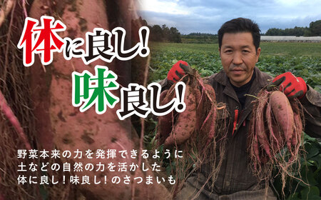 【先行予約】【訳あり】香取市産 さつまいも 紅はるか 約5kg×1 焼き芋やスイートポテトにどうぞ KTRW004 / 芋 サツマイモ さつま芋 紅はるか べにはるか ベニハルカ 焼き芋 焼芋 焼いも お芋 おいも いも 生芋