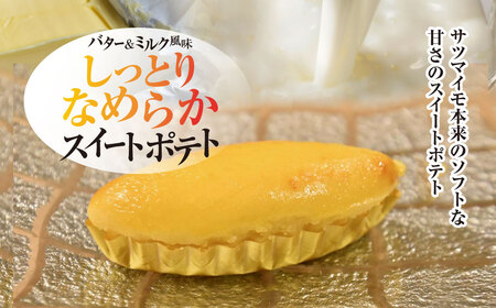 【2025年10月1日より順次発送！】おいもやさんお楽しみセット 香取市産さつまいも使用 大学芋 と スイートポテトの詰め合わせ KTRBD001 / スイーツ さつまいも サツマイモ 芋 専門店 おやつ デザート カワコファーム おいもやさん興伸 千葉県 香取市