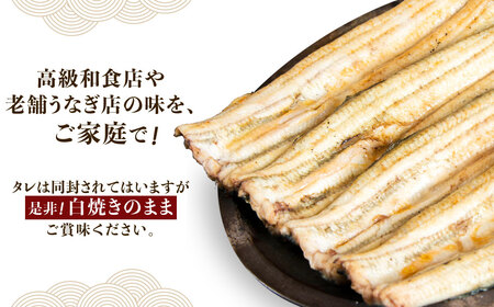 戸村川魚店の国産うなぎ 白焼き特大サイズ 4尾 セット /  うなぎ 国産うなぎ 鰻 国産鰻 ウナギ 国産ウナギ 白焼 白焼き TMR004