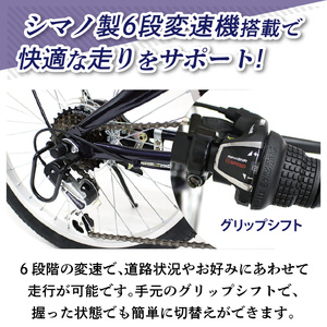 フィールドチャンプ 20インチ 6段変速 折たたみ自転車 ダークブルー MG-FCP206BL KTRCT006