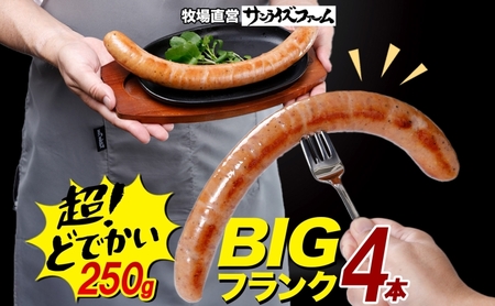 BIGバリューフランク 4本セット 25cm 豚肉 フランクフルト ウィンナー ビッグサイズ 大きい 肉厚 ジューシー 夕食 ご飯 おかず おつまみ バーベキュー BBQ 送料無料 サンライズファーム 千葉県 香取市 KTRAJ011