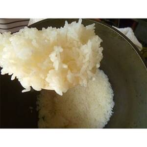 【令和5年産】自然米(玄米4kg)【配送不可地域：離島・沖縄県】【1066042】