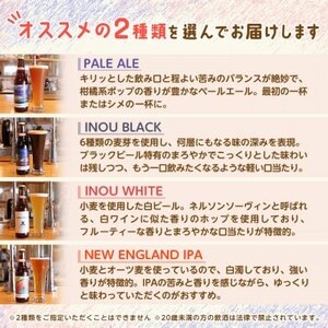 【香取市産】クラフトビール(2本)＆焼き鳥おつまみセット(焼き鳥10本・フランクソーセージ)【配送不可地域：離島】【1395305】