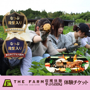 THE FARMで収穫体験＆採れたて新鮮野菜をBBQで食べる贅沢な食体験(2名様)【配送不可地域：離島・沖縄県】【1422348】