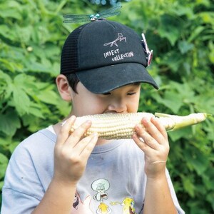 THE FARMで収穫体験＆採れたて新鮮野菜をBBQで食べる贅沢な食体験(2名様)【配送不可地域：離島・沖縄県】【1422348】