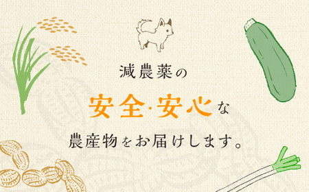 【先行予約／2024年11月発送】落花生・Ｑなっつのやわらか甘納豆（110ｇ）4個セット／ふるさと納税 甘納豆 豆 甘い 落花生 千葉県 山武市 SMAH002【ふるなび限定】FN-Limited