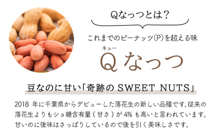 【先行予約／2024年11月発送】落花生・Ｑなっつのやわらか甘納豆（110ｇ）4個セット／ふるさと納税 甘納豆 豆 甘い 落花生 千葉県 山武市 SMAH002【ふるなび限定】FN-Limited