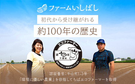 【先行予約／2024年11月発送】落花生・Ｑなっつのやわらか甘納豆（110ｇ）4個セット／ふるさと納税 甘納豆 豆 甘い 落花生 千葉県 山武市 SMAH002【ふるなび限定】FN-Limited