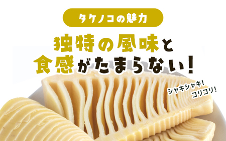 タケノコ 約5kg 【 ふるさと納税 人気 おすすめ ランキング 筍 山菜 タケノコ 野菜 やさい お取り寄せ ご当地 特産品 千葉県 山武市 送料無料 】SMAF003