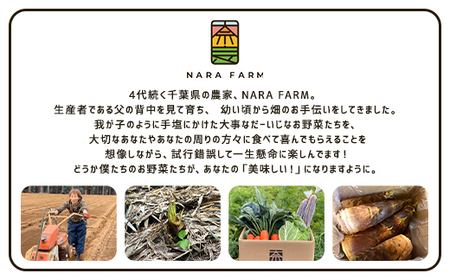 タケノコ 約5kg 【 ふるさと納税 人気 おすすめ ランキング 筍 山菜 タケノコ 野菜 やさい お取り寄せ ご当地 特産品 千葉県 山武市 送料無料 】SMAF003