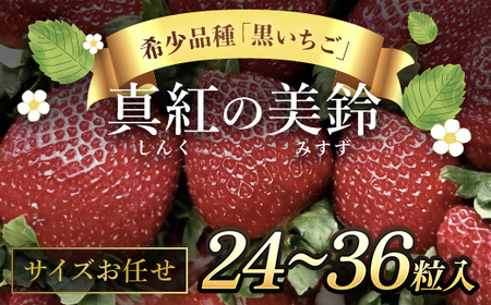 【先行予約/2024年12月配送開始】希少品種 黒いちご 真紅の美鈴 サイズお任せ 24粒～36粒 SMAN014 千葉県 山武市 いちご イチゴ 苺