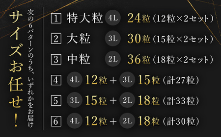 【先行予約/2024年12月配送開始】希少品種 黒いちご 真紅の美鈴 サイズお任せ 24粒～36粒 SMAN014 千葉県 山武市 いちご イチゴ 苺