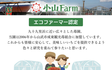 【先行予約/2024年12月配送開始】希少品種 黒いちご 真紅の美鈴 サイズお任せ 24粒～36粒 SMAN014 千葉県 山武市 いちご イチゴ 苺