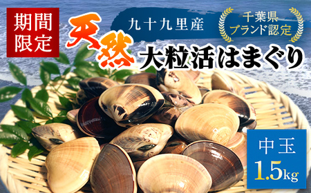 【千葉県ブランド認定】天然大粒活はまぐり（中玉）《1.5㎏》 ふるさと納税 はまぐり ハマグリ 蛤 貝類 魚介 海鮮 お吸い物 パスタ パエリア お歳暮 贈答 お祝い 千葉県 山武市 SMBO002