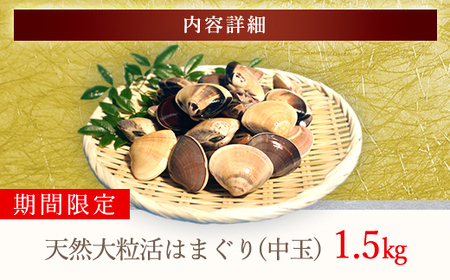 【千葉県ブランド認定】天然大粒活はまぐり（中玉）《1.5㎏》 ふるさと納税 はまぐり ハマグリ 蛤 貝類 魚介 海鮮 お吸い物 パスタ パエリア お歳暮 贈答 お祝い 千葉県 山武市 SMBO002