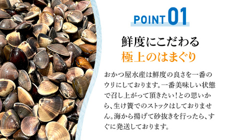 【千葉県ブランド認定】天然大粒活はまぐり（中玉）《1.5㎏》 ふるさと納税 はまぐり ハマグリ 蛤 貝類 魚介 海鮮 お吸い物 パスタ パエリア お歳暮 贈答 お祝い 千葉県 山武市 SMBO002