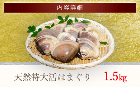 【千葉県ブランド認定】天然特大活はまぐり《1.5㎏》 ふるさと納税 はまぐり ハマグリ 蛤 貝類 魚介 海鮮 お吸い物 パスタ パエリア お歳暮 贈答 お祝い 千葉県 山武市 SMBO003