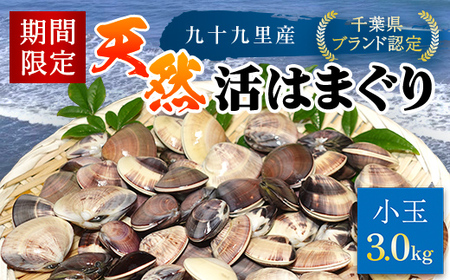 ＜先行受付/2025年5月より配送＞【千葉県ブランド認定】天然活はまぐり（小玉）《3㎏》ギフトBOX付き ふるさと納税 はまぐり ハマグリ 蛤 貝類 魚介 海鮮 お吸い物 パスタ パエリア お歳暮 贈答 お祝い 千葉県 山武市 SMBO004