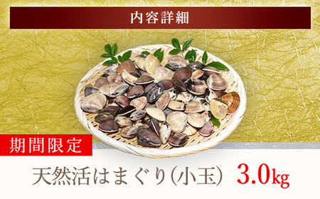 ＜先行受付/2025年5月より配送＞【千葉県ブランド認定】天然活はまぐり（小玉）《3㎏》ギフトBOX付き ふるさと納税 はまぐり ハマグリ 蛤 貝類 魚介 海鮮 お吸い物 パスタ パエリア お歳暮 贈答 お祝い 千葉県 山武市 SMBO004