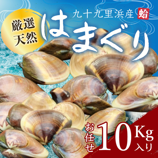 九十九里浜産活天然はまぐりサイズお任せ10kg入り SMBB004