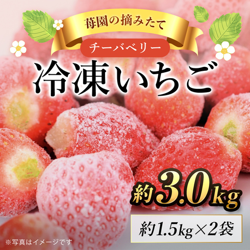 【希少品種】冷凍いちご(チーバベリー)約3kg SMAN011 / 冷凍いちご 冷凍苺 冷凍イチゴ フルーツ くだもの 果物 いちご イチゴ 苺 チーバベリー 希少品種 冷凍 ジャム スムージー デザート お菓子作り 千葉県 山武市