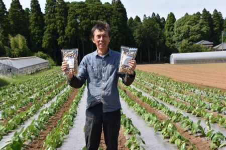 【2024年12月発送開始】 千葉県産 カラ煎り落花生 千葉半立 600g（200g×3） SMF004 落花生 らっかせい ピーナッツ ピーナツ