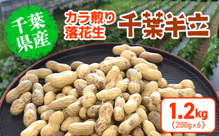 【2024年12月発送開始】 千葉県産 カラ煎り落花生 千葉半立 1.2kg（200g×6） SMF005 落花生 らっかせい ピーナッツ ピーナツ