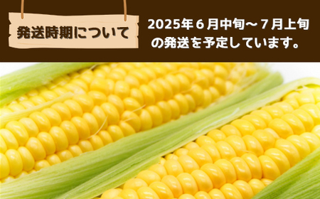 【先行受付2025年7月発送】朝採れとうもろこし 約5kg 13本 旬の品種でお届け！／ふるさと納税 とうもろこし トウモロコシ 朝採れ 千葉県 山武市 SMBQ001