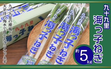 【先行予約】【12月上旬から発送】九十九里の潮風と太平洋の海水で育てたブランドネギ 九十九里海っ子ねぎ 約5kg SMBQ002