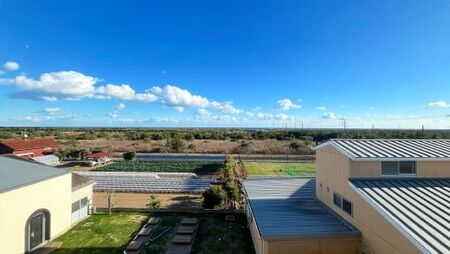 愛犬と泊まれるホテル Luana Hasunuma HOTEL&CAFE 1泊朝食付宿泊プラン（1～2頭･1名様）／ホテル 宿泊 カフェ  愛犬と一緒に泊まれる ペットと泊まれる宿 ドッグラン 愛犬 犬 小型犬 中型犬 自然 蓮沼海岸 千葉県 千葉県山武市 SMCD002