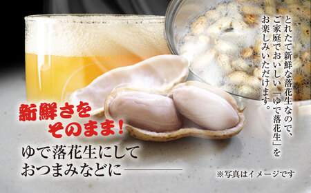 ★先行予約★【2026年9月上旬より順次発送！】とれたて新鮮! 生落花生 おおまさり 2kg 殻付き／ らっかせい 落花生 生落花 掘り取り 手もぎ 新鮮 おやつ おつまみ お料理 ゆで落花生 ピーナッツ 千葉県 山武市 SMCK001