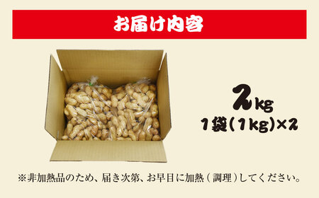 ★先行予約★【2026年9月上旬より順次発送！】とれたて新鮮! 生落花生 おおまさり 2kg 殻付き／ らっかせい 落花生 生落花 掘り取り 手もぎ 新鮮 おやつ おつまみ お料理 ゆで落花生 ピーナッツ 千葉県 山武市 SMCK001