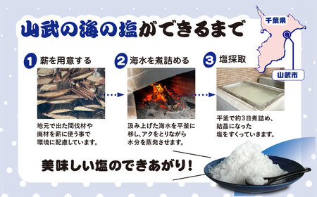 山武の海の塩８０ｇ×３個パック SMCI001 /しお シオ 塩 お塩 食塩 海塩 塩むすび つけ塩 千葉県 山武市 SDGs 手づくり塩
