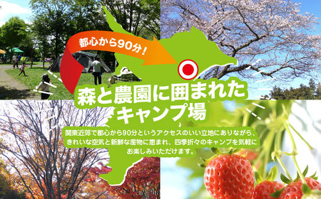 大人気のキャンプ場で特別体験! 有野実苑オートキャンプ場 キャンピングカー宿泊プラン SMN007