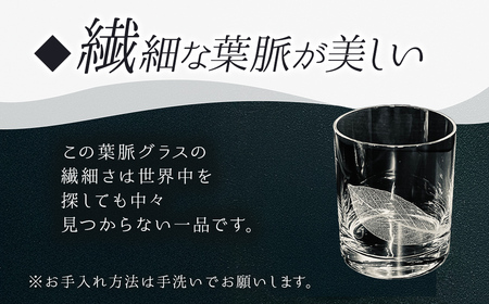 ロックグラス２個セット SMCT006