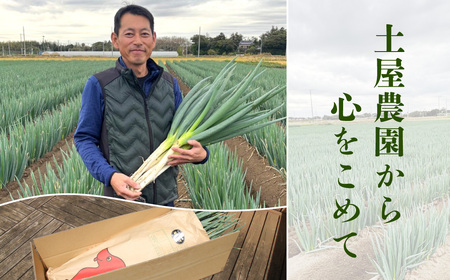 【山武市限定栽培】泥ネギでドドンと配送！ミネラル豊富で甘みたっぷりの「海水ネギ」７kg以上 / 地元の道の駅オライはすぬまで大人気の農家から直送! 【発送期間は12月～2月】SMCV002