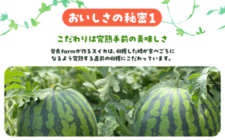 ぷちっと２玉入り　SMAF006