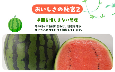 ぷちっと２玉入り　SMAF006