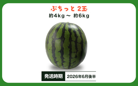 ぷちっと２玉入り　SMAF006