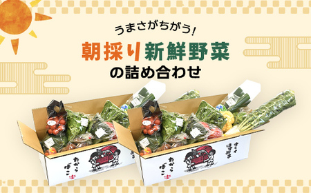 大地のたからばこセット(2箱) SMA001