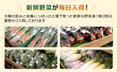 大地のたからばこセット(2箱) SMA001