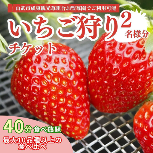 【12月上旬から発送】いちご狩りチケット（2名様分） いちご イチゴ 苺 イチゴ狩り いちご狩り体験 チケット 利用券 千葉県 山武市 SMQ001