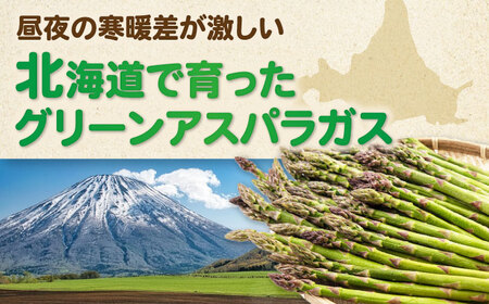 【2025年6月以降順次発送】 グリーンアスパラガス 1.5kg　（Ｌサイズ500g×２袋・Ｍサイズ500g）《喜茂別町》【Aコープようてい】 アスパラ 野菜 北海道 春野菜 季節の野菜 先行予約 [AJAK003] 16000 16000円