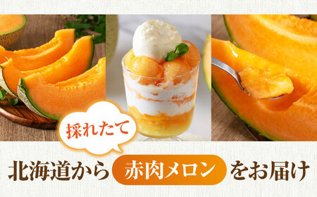 【先行予約】赤肉メロン 大玉2玉 《喜茂別町》【ニセコビュープラザ直売会協同組合】 メロン 赤肉メロン [AJAH020] 