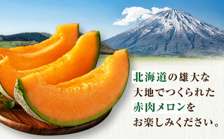 先行予約】赤肉メロン 大玉2玉 《喜茂別町》【ニセコビュープラザ直売