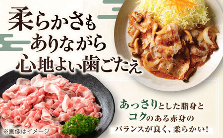 平田牧場 豚肉切り落とし 1kg [AJAP005] 豚肉切り落とし