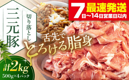 平田牧場 切り落とし 2kg (500g×4P)  豚肉 切り落とし 小分け [AJAP006]